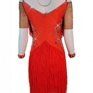 Flota Latin Dance Dress Back